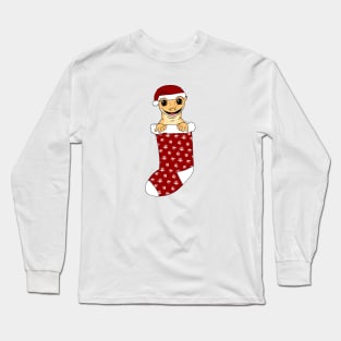 Crested Gecko Christmas Stocking Long Sleeve T-Shirt